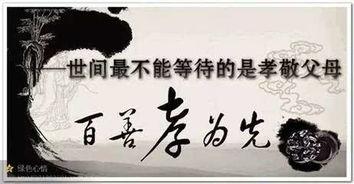 何以为孝 第2张 何以为孝 第2张