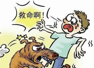 狂犬病 2021,2021年狂犬病疫情回顾与防控策略分析
